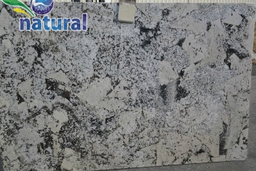 White Splendor Granite